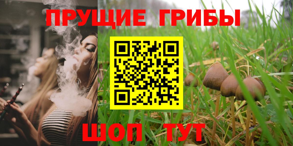 Псилоцибиновые грибы Cubensis Солнечногорск