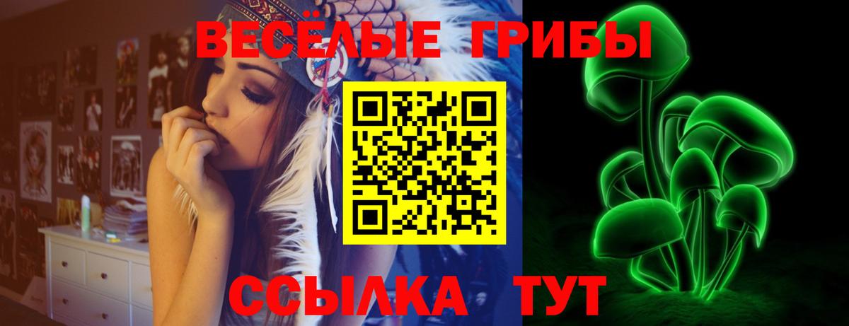 Солнечногорск  Галлюциногенные грибы Magic Shrooms  Вход с VPN  Псилоцибиновые грибы Psilocybine cubensis 
